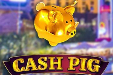 Cash Pig